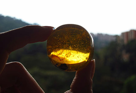 Янтарь - магические свойства природного камня